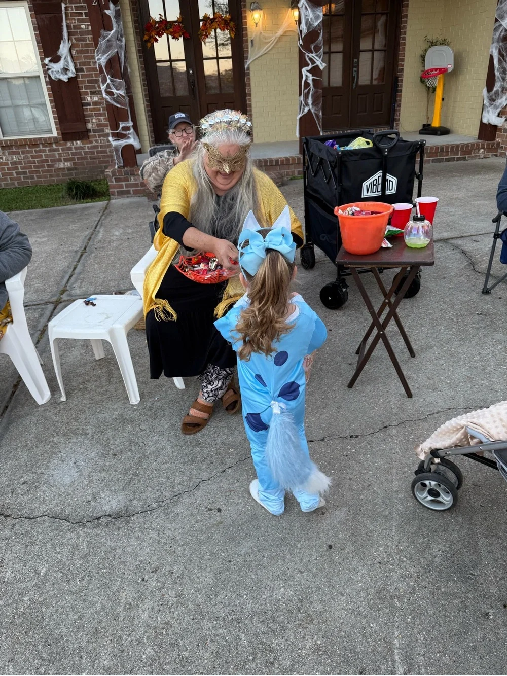 Kids Blue and Orange Animal Costume Set - Fox and Blue Character